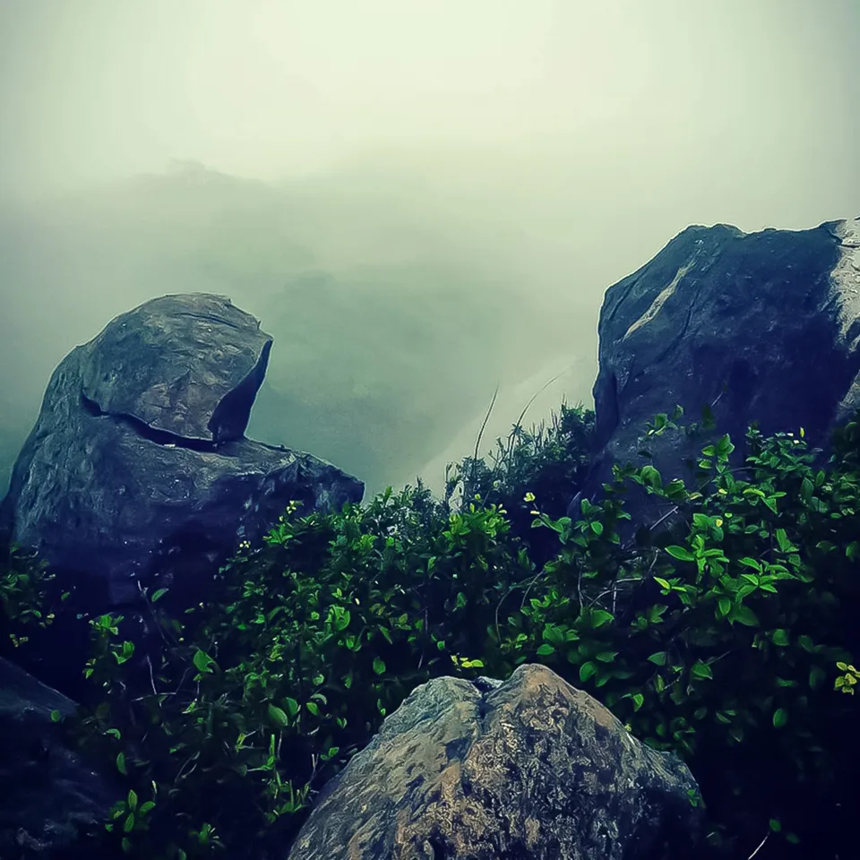 선짜산 사진 2