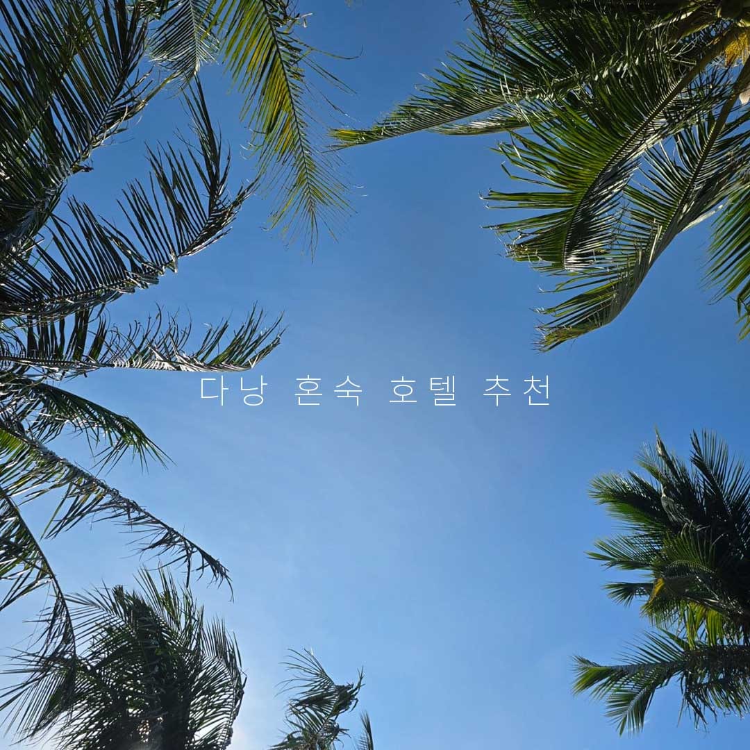 하늘을 바라보는 앵글의 사진이고 주변에 야자수 잎이 보인다